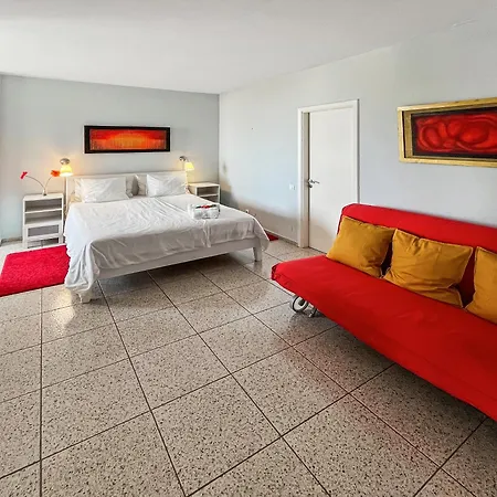 Large Penthouse With Sunny Terrace Apartment
